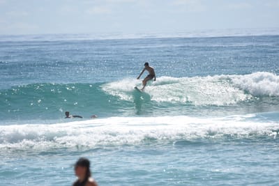 DSC_6757.JPG