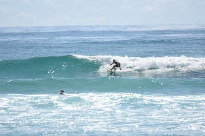 DSC_6767.JPG