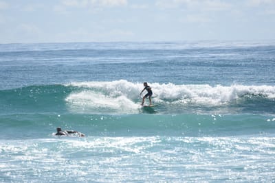 DSC_6768.JPG