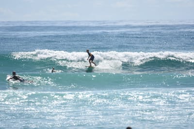 DSC_6769.JPG