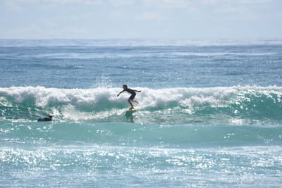 DSC_6770.JPG