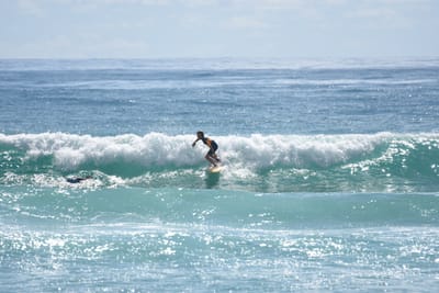 DSC_6771.JPG
