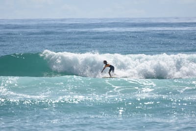 DSC_6773.JPG