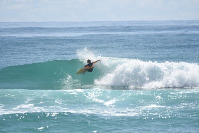 DSC_6778.JPG