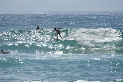 DSC_6780.JPG