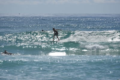 DSC_6781.JPG