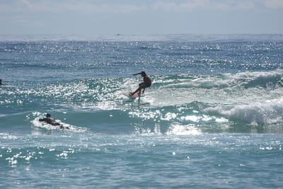 DSC_6782.JPG