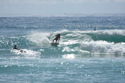 DSC_6784.JPG