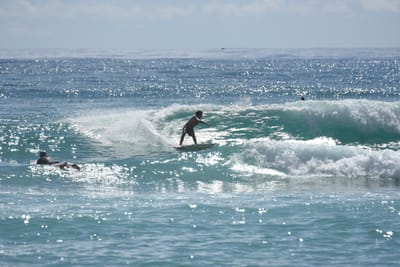 DSC_6785.JPG