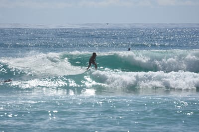 DSC_6786.JPG