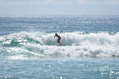 DSC_6788.JPG