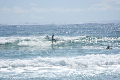 DSC_6790.JPG