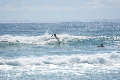 DSC_6792.JPG