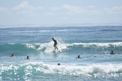 DSC_6795.JPG