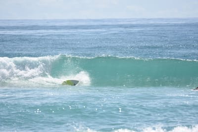 DSC_6799.JPG
