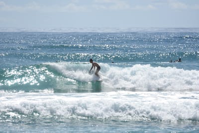 DSC_6817.JPG