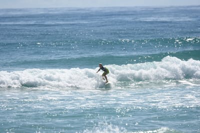 DSC_6826.JPG