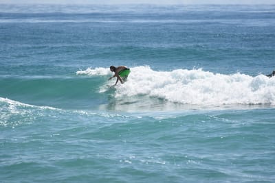 DSC_6863.JPG