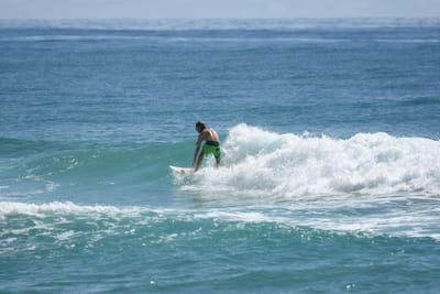 DSC_6869.JPG