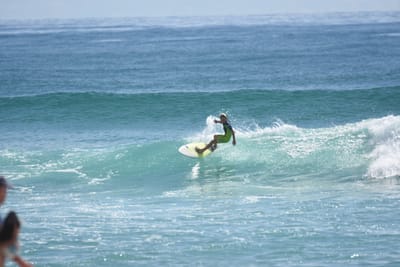 DSC_6877.JPG