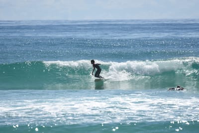 DSC_6901.JPG
