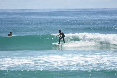 DSC_6902.JPG