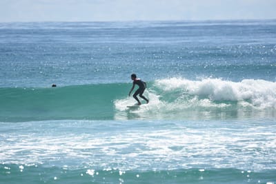 DSC_6903.JPG