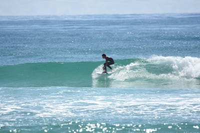 DSC_6905.JPG