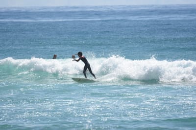 DSC_6917.JPG