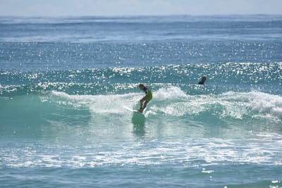 DSC_6924.JPG