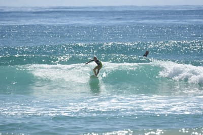 DSC_6925.JPG