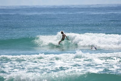 DSC_6935.JPG