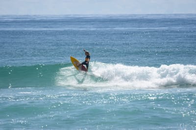 DSC_6943.JPG