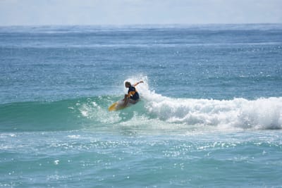 DSC_6945.JPG