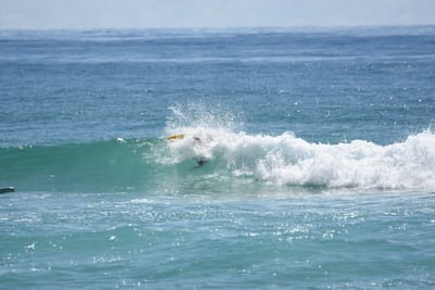 DSC_6947.JPG