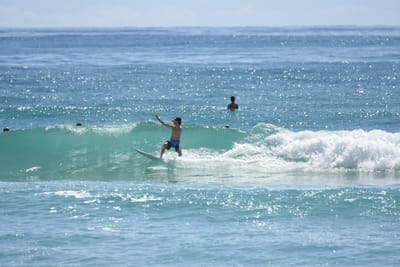 DSC_6949.JPG