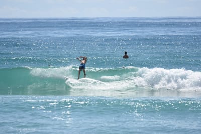 DSC_6950.JPG