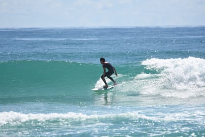 DSC_6993.JPG