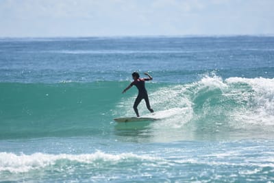 DSC_6995.JPG