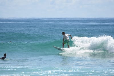 DSC_7019.JPG