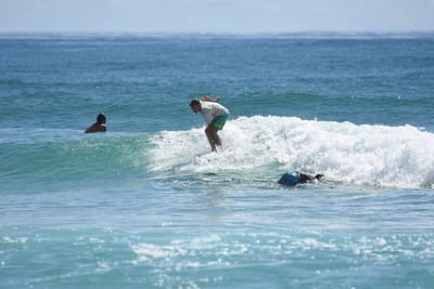 DSC_7023.JPG