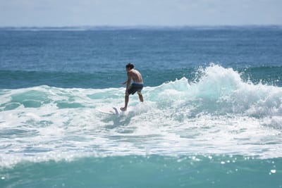 DSC_7026.JPG