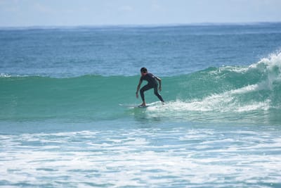 DSC_7048.JPG