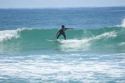DSC_7050.JPG