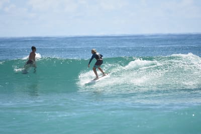 DSC_7101.JPG