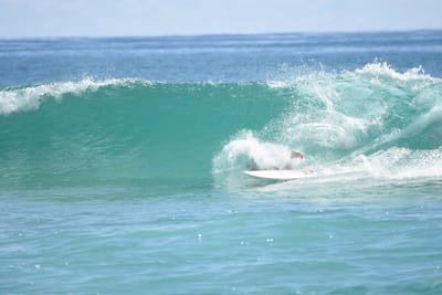 DSC_7112.JPG