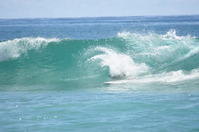 DSC_7113.JPG