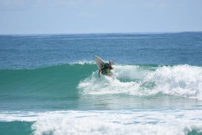 DSC_7116.JPG