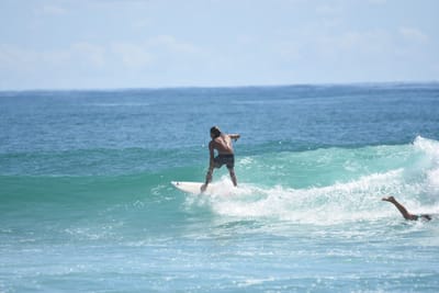 DSC_7121.JPG