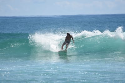 DSC_7126.JPG